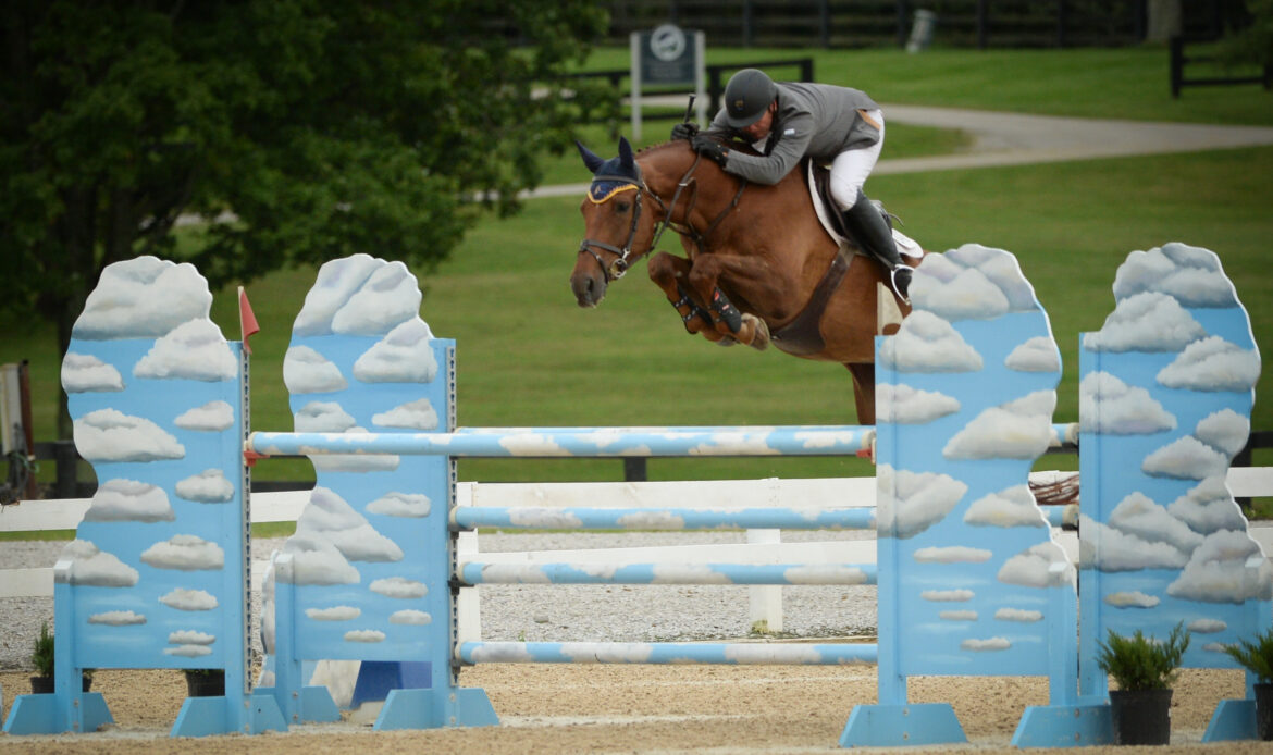 Featured Horse Image