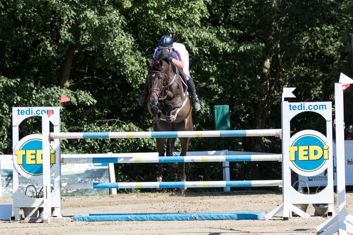 Featured Horse Image
