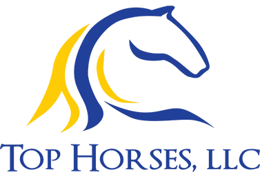 tophorsesllc.com