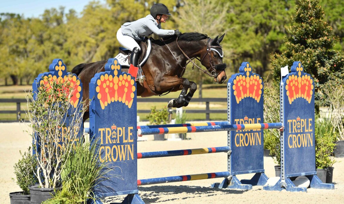 Featured Horse Image
