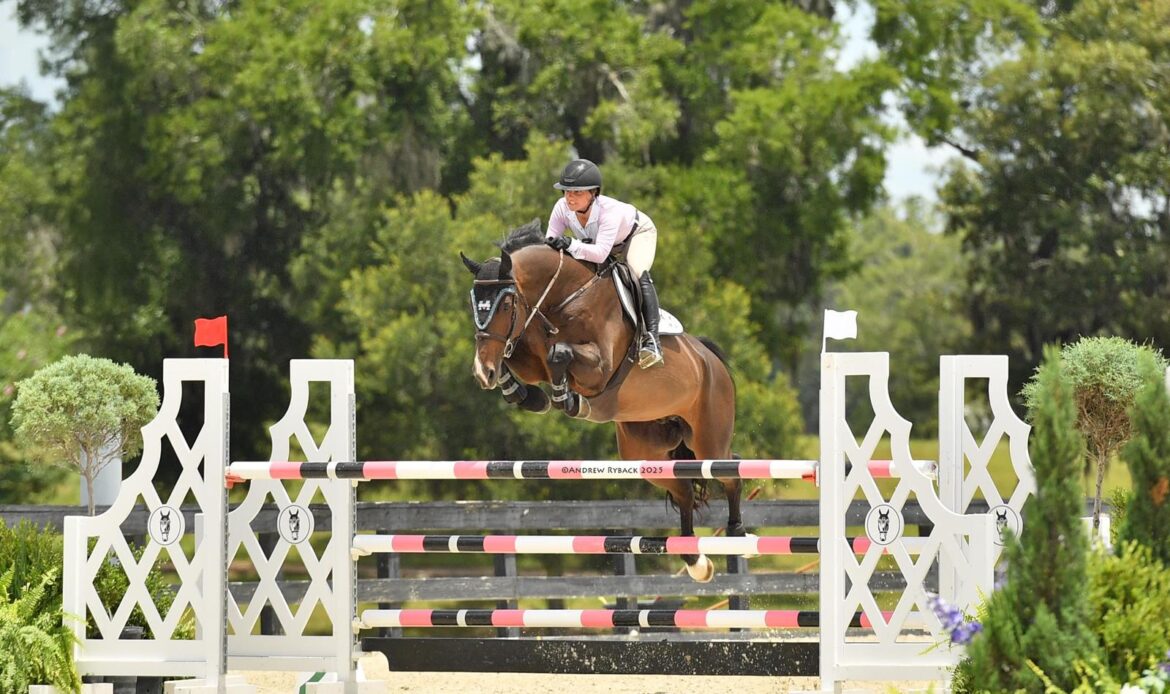 Featured Horse Image