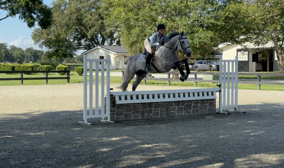 Featured Horse Image