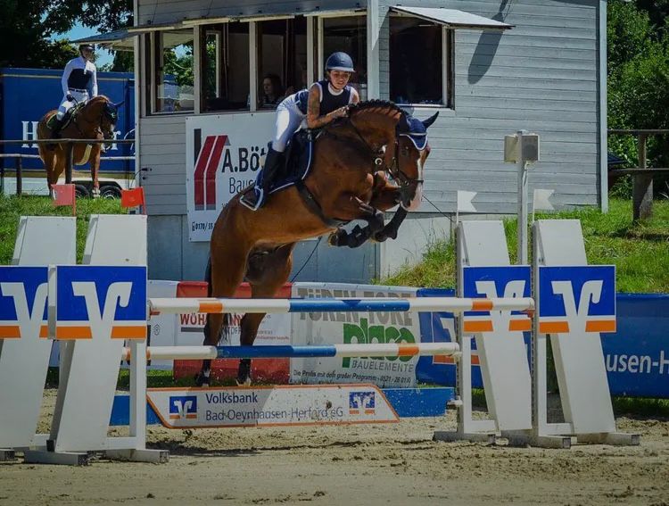 Featured Horse Image