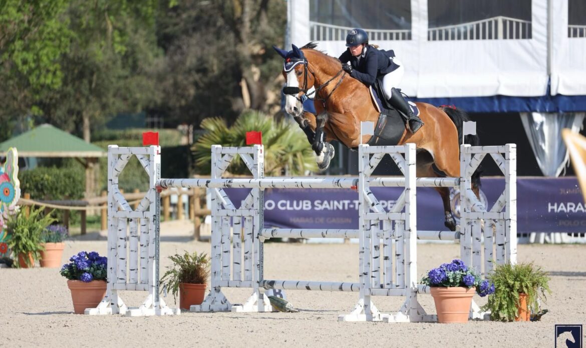 Featured Horse Image