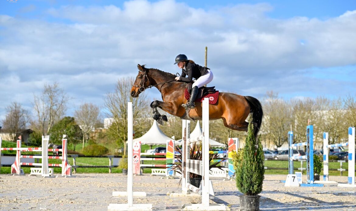 Featured Horse Image