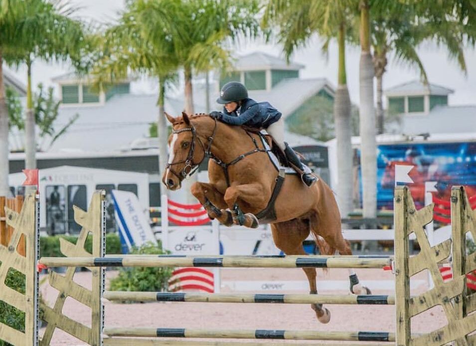 Featured Horse Image