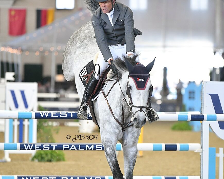 Featured Horse Image